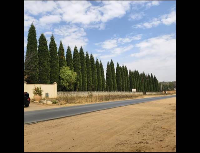LAND FOR SALE IN GLEN AUSTIN